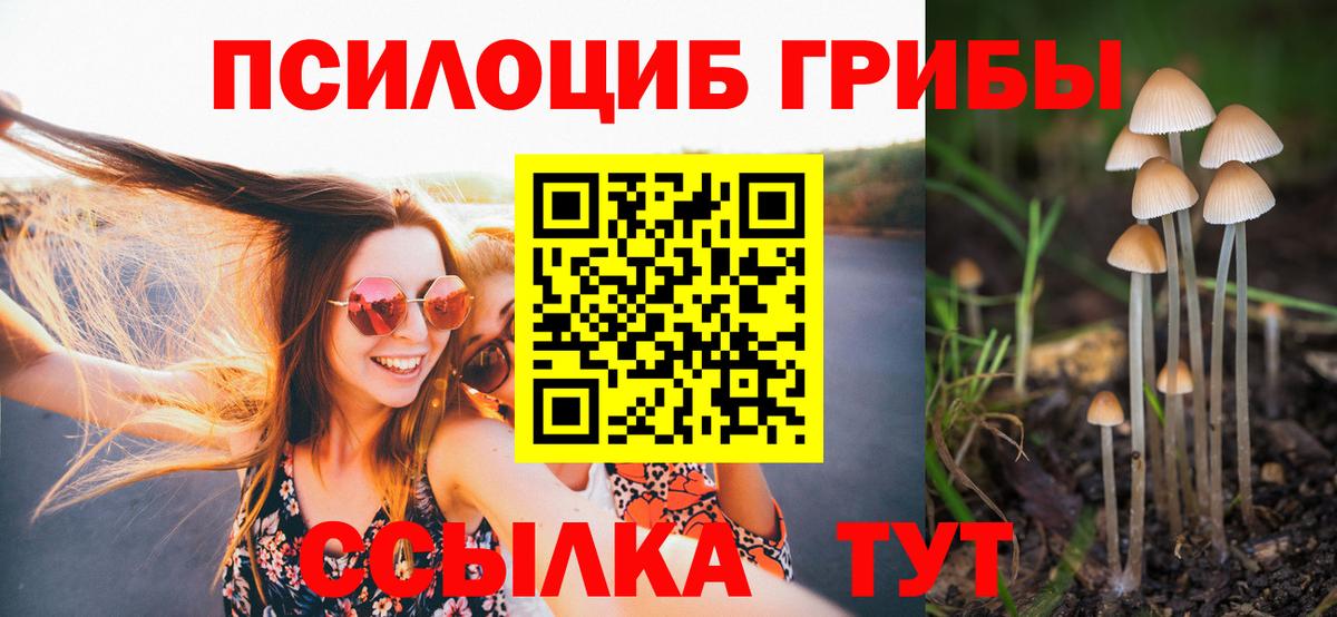 Кузнецк  Псилоцибиновые грибы Psilocybine cubensis  Вход с VPN 