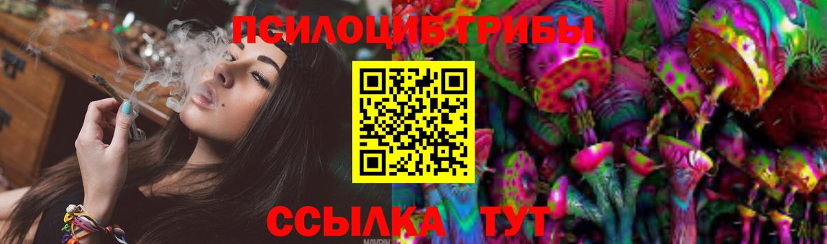 Псилоцибиновые грибы GOLDEN TEACHER Кузнецк